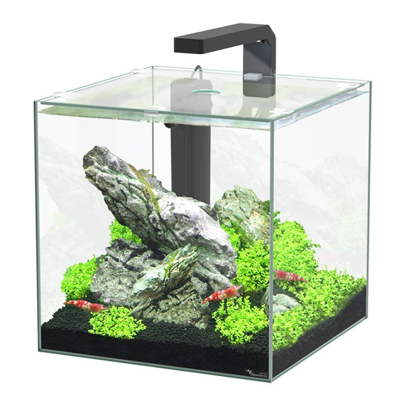 Aquarium Eau De Mer Clé En Main
