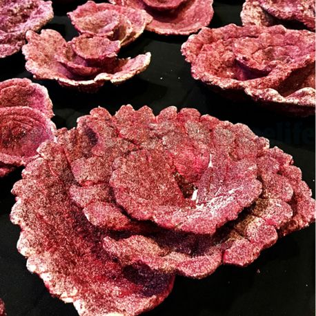 Pierre Real Reef Rock - Plates corals rock la pièce +- 20-25cm 