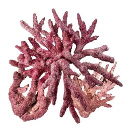 Pierre Real Reef Rock - Fancy Branch au kg 