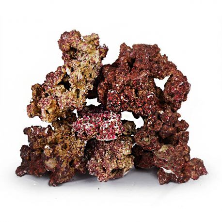 Pierre Real Reef Rock (L, M et S) Prix pour 3kg 37,20 €