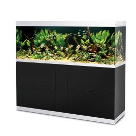 Oase HighLine Optiwhite 600 noir (aquarium & meuble) + bon d'achats 10% plantes et poissons 2 295,00 €