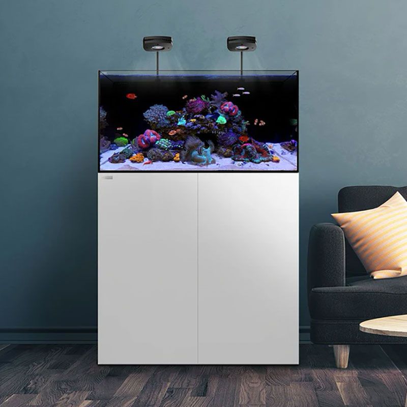 aio reef tank