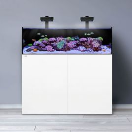 Waterbox aquarium marin Frag 105.4 (275 litres) 