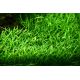 Tropica 1-2-Grow! Lilaeopsis brasiliensis 6,95 €