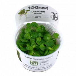 Tropica 1-2-Grow! Limnobium laevigatum 6,95 €