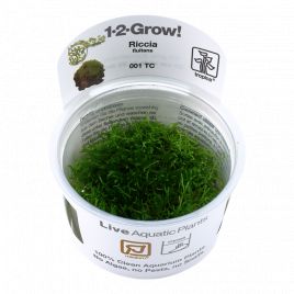 Tropica 1-2-Grow! Riccia fluitans 6,95 €