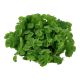 Tropica 1-2-Grow! Salvinia auriculata 6,95 €