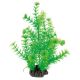 Superfish  art plant 25cm cabomba