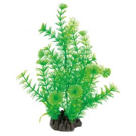 Superfish  art plant 25cm cabomba