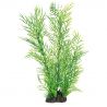 Superfish  art plant 40cm ceratopteris
