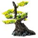 Superfish  deco bonsai XS