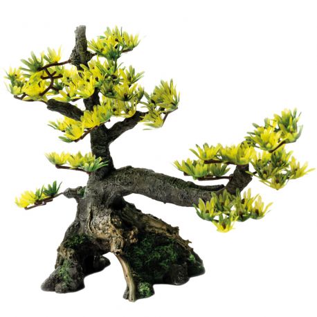 Superfish  deco bonsai M