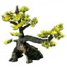 Superfish  deco bonsai M
