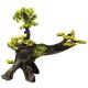 Superfish  deco bonsai L