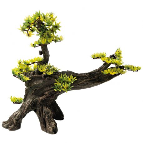 Superfish  deco bonsai L