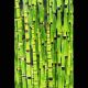 Equisetum japonicum - Prêle d'hiver, queue de cheval Plantes de bassin E 11,00 €