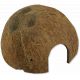 JBL Cocos Cava coque de noix de coco servant de grotte pour aquariums et terrariums 1/2 L