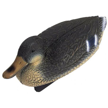 Oase canard Colvert femelle 9,95 €