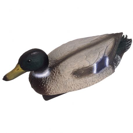 Oase canard Colvert mâle 9,95 €