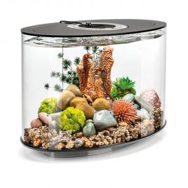 Oase aquarium biOrb LOOP 15 LED noir 149,95 €