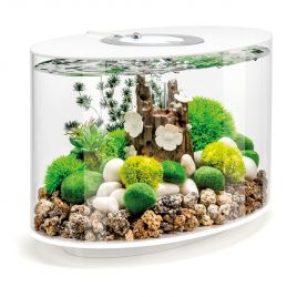 Oase aquarium biOrb LOOP 15 LED MCR blanc