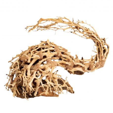 Artisanat en bois flotté - Dragon Bonsai L - 40 X 30cm 86,80 €