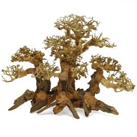 Artisanat en bois flotté - Forest Bonsai M (40x20x25cm) 