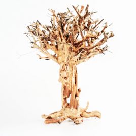 Décor bois naturel - Mammoth Bonsai S  - 15 x 20cm