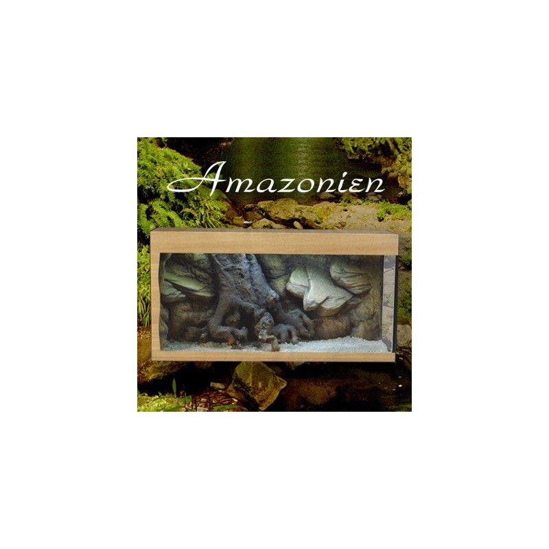 Decor Aquarium Eau Douce Amazone Decor Aquarium Eau Douce Amazone