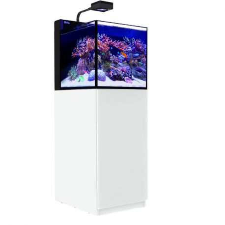 Red Sea Max® Nano Peninsula Complet Blanc + 10% en bon d'achats coraux,poissons 1 199,00 €