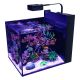 Red Sea Max® Nano Peninsula Complet Blanc + 10% en bon d'achats coraux,poissons 1 199,00 €