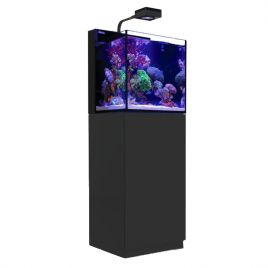 Max® Nano Cube Complet (aqua + meuble) - Noir système récifal complet Plug & Play® de 75 L + 10% en bon d'achats coraux,poiss...