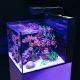 Red Sea Max® Nano Peninsula Complet Blanc + 10% en bon d'achats coraux,poissons 1 199,00 €