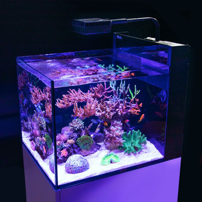 Red Sea Max® Nano Peninsula Complet Blanc 1,149.00 Red Sea Max® Nano Peninsula Complet Blanc 1,149.00