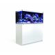 Red Sea aquarium Reefer™ 350 G2+ - Blanc + bon d'achats coraux - poissons de 10% 1 899,00 €