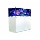 Red Sea aquarium Reefer™ 425 G2+ - Blanc + bon d'achats coraux - poissons de 10% 2 299,00 €