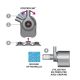 NEWA Maxi 750 pompe à eau d’un débit de 670 l/h 