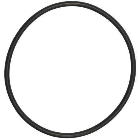 Oase joint thorique filtre Biopress 6000 et 10000 