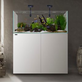 Waterbox aquarium eau douce CLEAR Peninsula 4820 + bon d'achats plantes et poissons de 10% 1 598,00 €