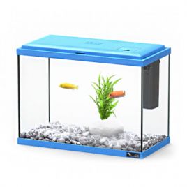 Aquatlantis aquarium Explorer London adaptés aux enfants 17 litres (35x18x26.5 cm)