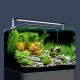 Dennerle Nano Scaper's Tank 35 litres 40x32x28cm