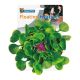 Superfish Floating Hyacinth 7,20 €