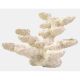 Blue Marine Rock Standing 130,50 €