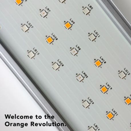 Twinstar éclairage  Light IV 1200 EA