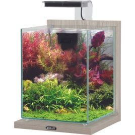 Zolux Aquarium Jalaya XXL 31.5L