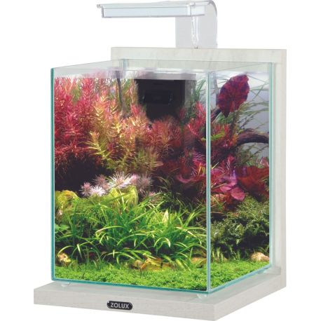 Zolux Aquarium Jalaya XL