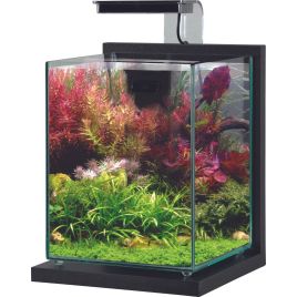 Zolux Aquarium Jalaya XL 18.7L