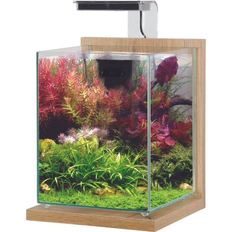 Kit aquarium avec support bois éclairage et filtre wiha ZOLUX