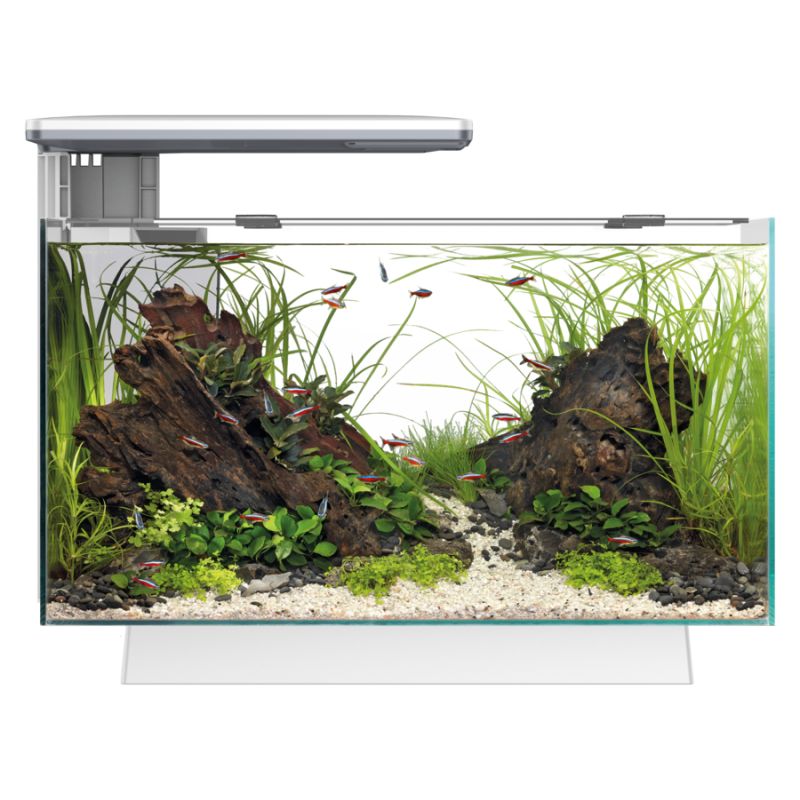 Superfish - Aquarium Equipé Qubiq Pro 30 pour Poisson - Blanc