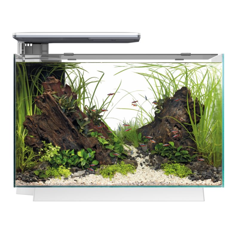 Superfish aquarium quadro 70 pro 144,95 €